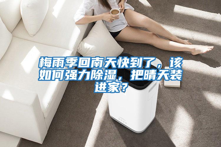 梅雨季回南天快到了，該如何強力除濕，把晴天裝進家？