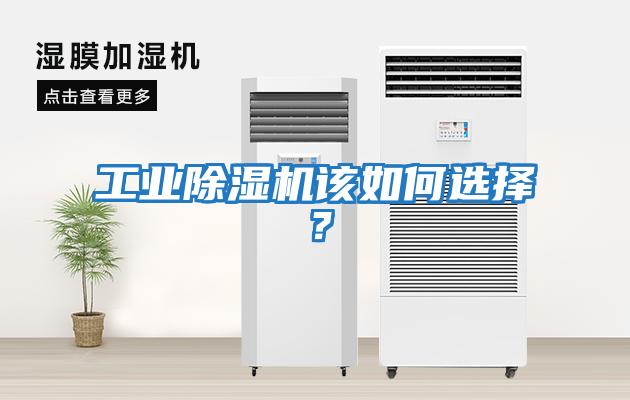 工業除濕機該如何選擇？