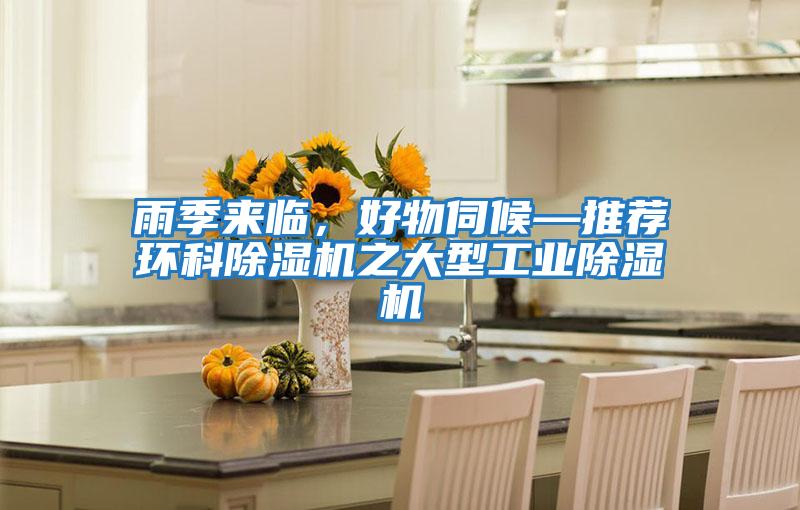 雨季來臨，好物伺候—推薦環科除濕機之大型工業除濕機