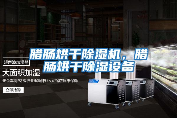 臘腸烘干除濕機(jī)，臘腸烘干除濕設(shè)備