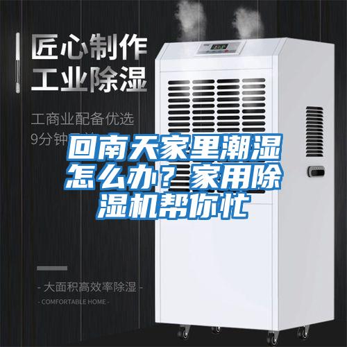 回南天家里潮濕怎么辦？家用除濕機幫你忙