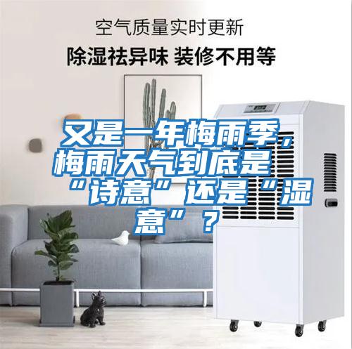 又是一年梅雨季，梅雨天氣到底是“詩意”還是“濕意”？