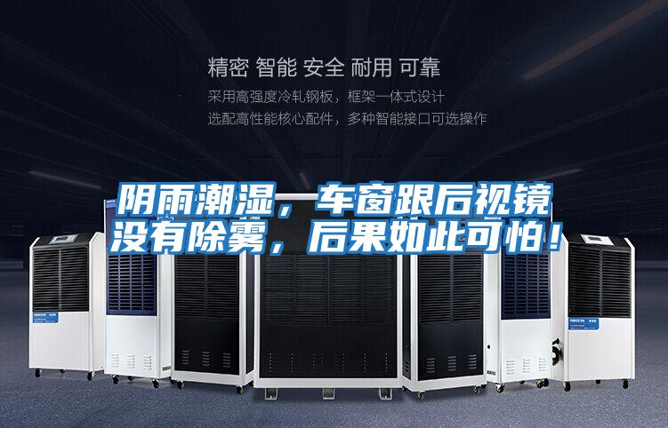 陰雨潮濕，車窗跟后視鏡沒有除霧，后果如此可怕！