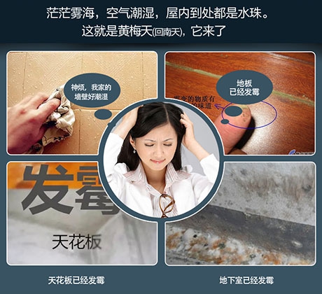 黑科技除濕機，拒絕討厭的濕氣問題