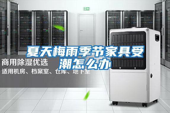 夏天梅雨季節家具受潮怎么辦