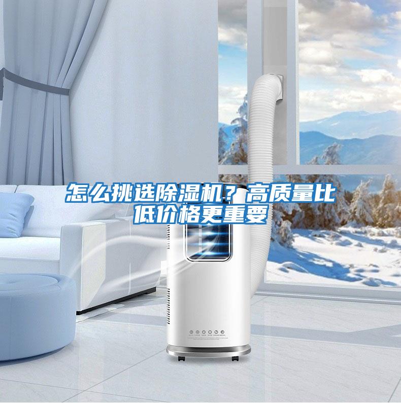 怎么挑選除濕機?高質量比低價格更重要
