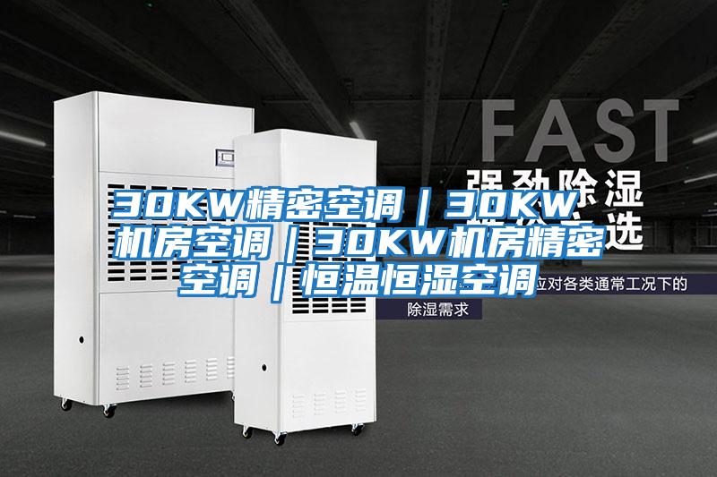 30KW精密空調(diào)|30KW 機(jī)房空調(diào)|30KW機(jī)房精密空調(diào)|恒溫恒濕空調(diào)