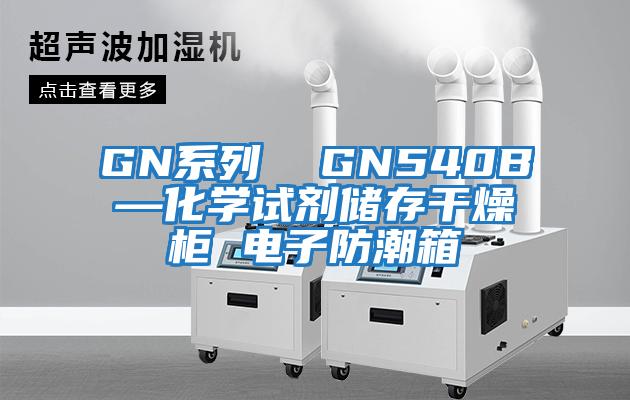 GN系列 GN540B—化學試劑儲存干燥柜 電子防潮箱