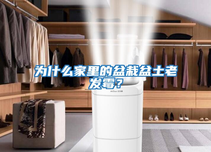 為什么家里的盆栽盆土老發霉？