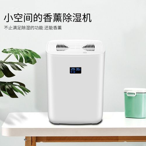 清明過后，潮氣噠噠，怎么除潮？