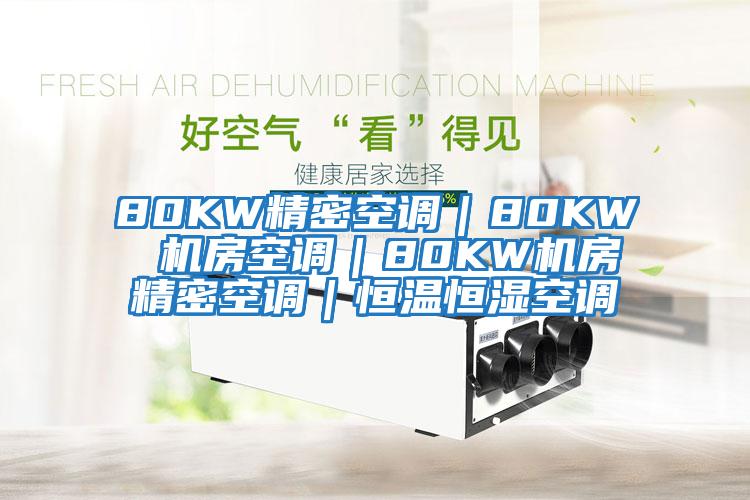 80KW精密空調|80KW 機房空調|80KW機房精密空調|恒溫恒濕空調
