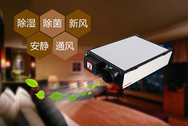 濕冷加陰雨，慢慢把你濕透