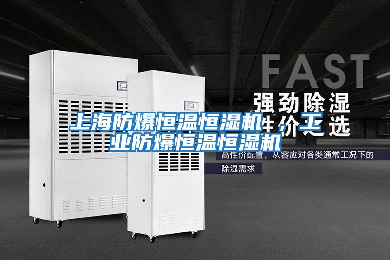 上海防爆恒溫恒濕機(jī) ，工業(yè)防爆恒溫恒濕機(jī)