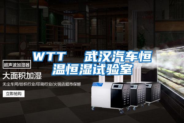WTT  武漢汽車(chē)恒溫恒濕試驗(yàn)室