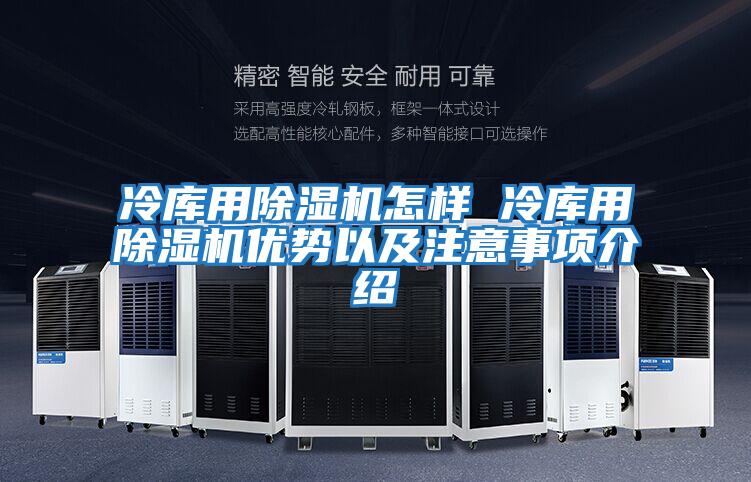 冷庫用除濕機怎樣 冷庫用除濕機優勢以及注意事項介紹