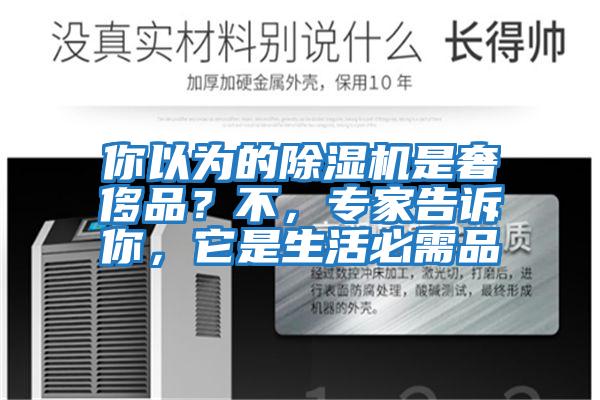 你以為的除濕機是奢侈品？不，專家告訴你，它是生活必需品