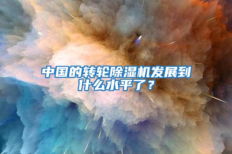 中國的轉輪除濕機發展到什么水平了？
