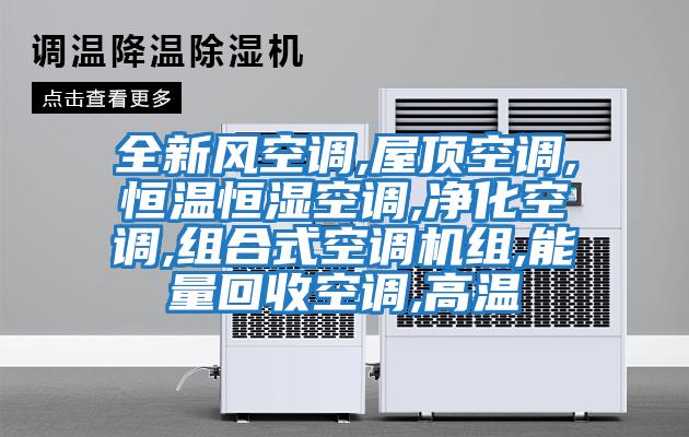 全新風空調,屋頂空調,恒溫恒濕空調,凈化空調,組合式空調機組,能量回收空調,高溫