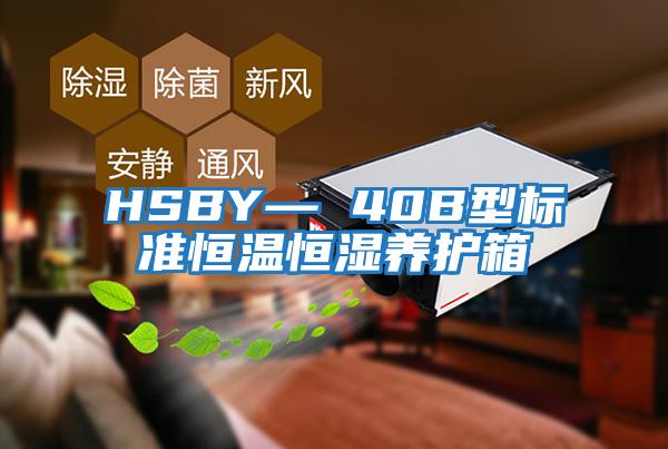 HSBY— 40B型標準恒溫恒濕養護箱