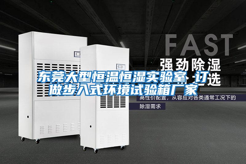 東莞大型恒溫恒濕實驗室 訂做步入式環境試驗箱廠家