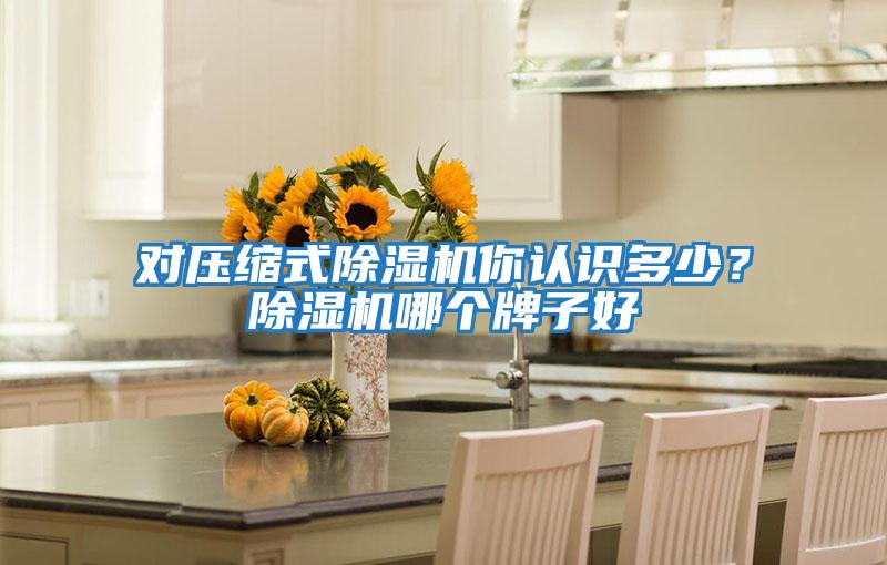 對壓縮式除濕機你認識多少？除濕機哪個牌子好