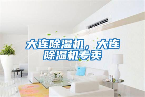 大連除濕機(jī),大連除濕機(jī)專賣
