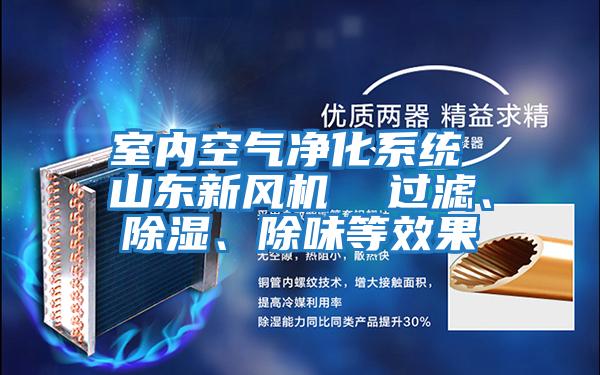 室內(nèi)空氣凈化系統(tǒng) 山東新風(fēng)機  過濾、除濕、除味等效果