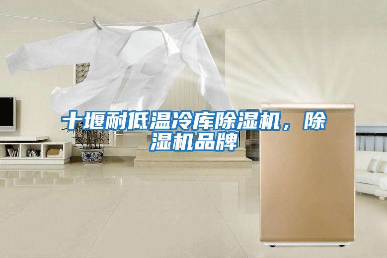 十堰耐低溫冷庫(kù)除濕機(jī)，除濕機(jī)品牌