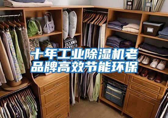 十年工業除濕機老品牌高效節能環保