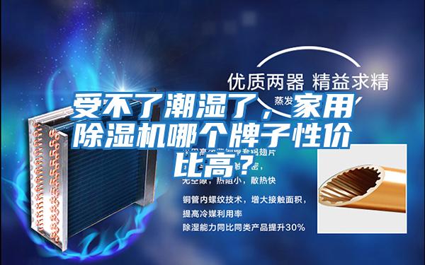 受不了潮濕了，家用除濕機哪個牌子性價比高？