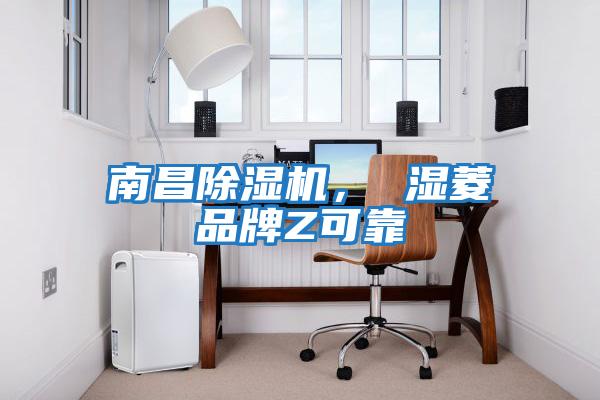 南昌除濕機， 濕菱品牌Z可靠
