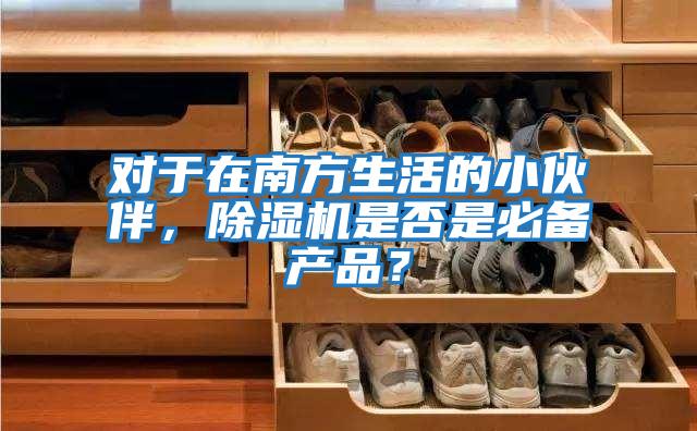 對于在南方生活的小伙伴，除濕機(jī)是否是必備產(chǎn)品？
