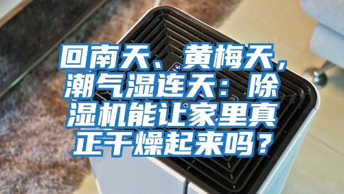 回南天、黃梅天，潮氣濕連天：除濕機能讓家里真正干燥起來嗎？