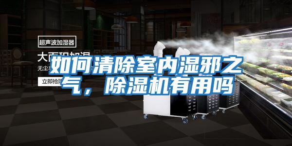 如何清除室內濕邪之氣，除濕機有用嗎