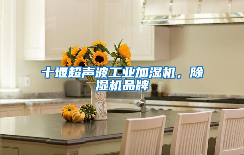 十堰超聲波工業加濕機，除濕機品牌
