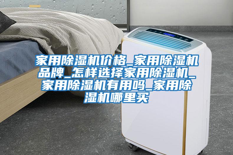 家用除濕機(jī)價(jià)格_家用除濕機(jī)品牌_怎樣選擇家用除濕機(jī)_家用除濕機(jī)有用嗎_家用除濕機(jī)哪里買(mǎi)