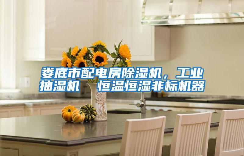 婁底市配電房除濕機,工業抽濕機 恒溫恒濕非標機器