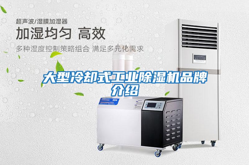 大型冷卻式工業除濕機品牌介紹