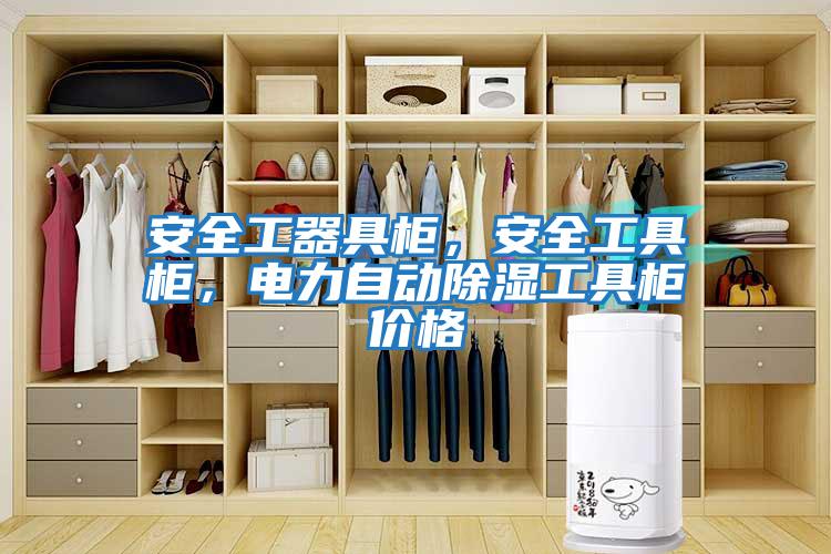 安全工器具柜，安全工具柜，電力自動除濕工具柜價格