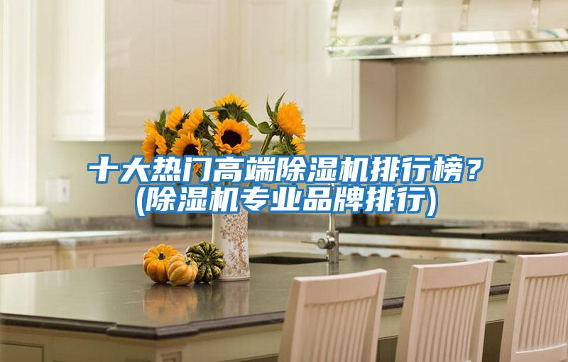 十大熱門(mén)高端除濕機(jī)排行榜？(除濕機(jī)專業(yè)品牌排行)