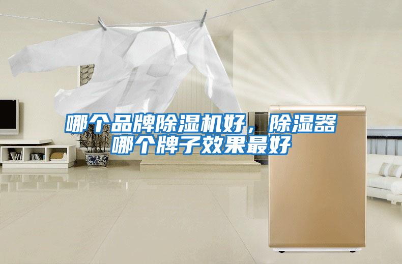 哪個品牌除濕機好，除濕器哪個牌子效果最好