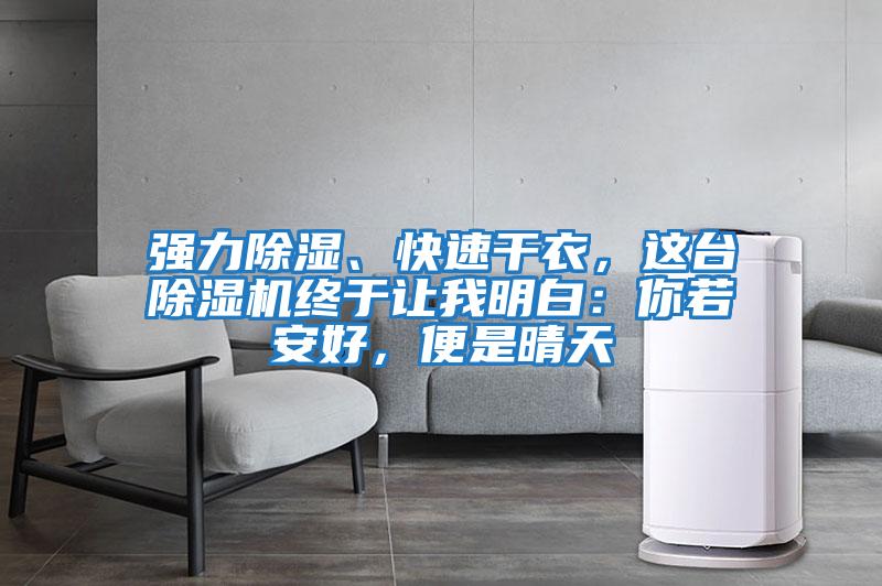 強(qiáng)力除濕、快速干衣，這臺(tái)除濕機(jī)終于讓我明白：你若安好，便是晴天