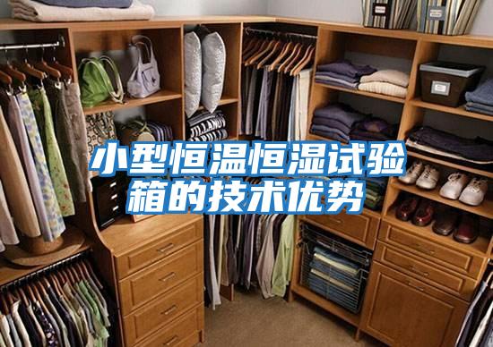 小型恒溫恒濕試驗箱的技術優勢