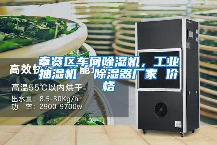 奉賢區車間除濕機，工業抽濕機  除濕器廠家 價格