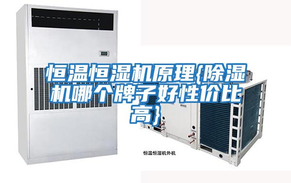 恒溫恒濕機(jī)原理{除濕機(jī)哪個(gè)牌子好性?xún)r(jià)比高}