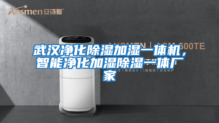 武漢凈化除濕加濕一體機，智能凈化加濕除濕一體廠家