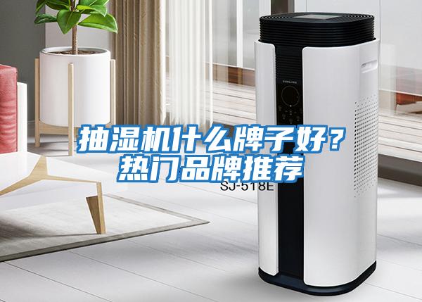 抽濕機什么牌子好？熱門品牌推薦