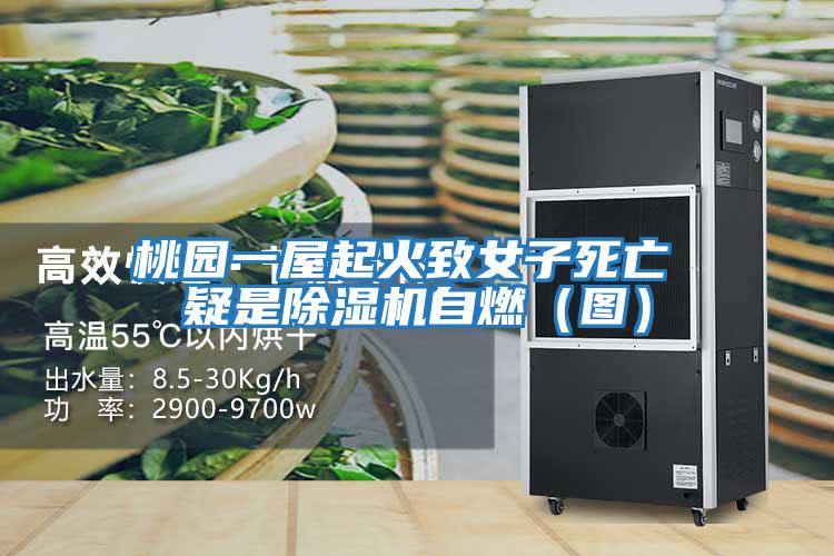 桃園一屋起火致女子死亡 疑是除濕機自燃(圖)