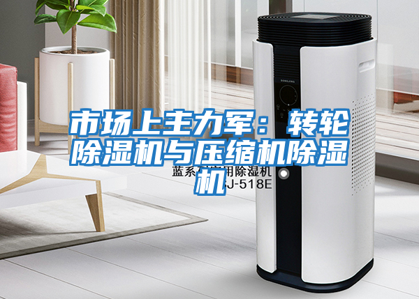 市場上主力軍:轉(zhuǎn)輪除濕機(jī)與壓縮機(jī)除濕機(jī)