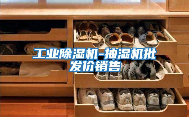 工業(yè)除濕機-抽濕機批發(fā)價銷售